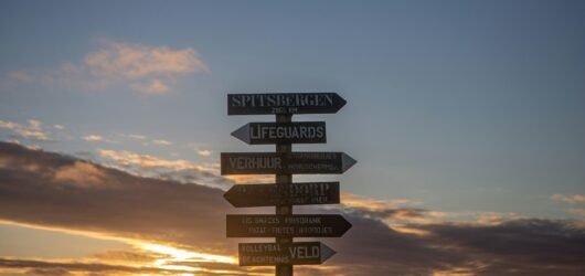 Choisir ses spécialités en seconde : le guide pratique pour ne pas se tromper